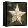 Golden Star with Snow-Cora Niele-Framed Stretched Canvas