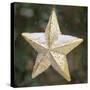 Golden Star with Snow-Cora Niele-Stretched Canvas