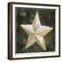 Golden Star with Snow-Cora Niele-Framed Giclee Print