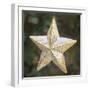 Golden Star with Snow-Cora Niele-Framed Giclee Print