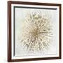 Golden Star-Tom Reeves-Framed Art Print