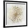 Golden Star-Tom Reeves-Framed Art Print