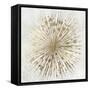 Golden Star-Tom Reeves-Framed Stretched Canvas