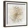 Golden Star-Tom Reeves-Framed Art Print