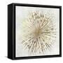 Golden Star-Tom Reeves-Framed Stretched Canvas