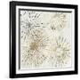 Golden Stars II-Tom Reeves-Framed Art Print