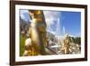 Golden Statues and Fountains of the Grand Cascade at Peterhof Palace, St. Petersburg, Russia-Martin Child-Framed Photographic Print