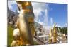 Golden Statues and Fountains of the Grand Cascade at Peterhof Palace, St. Petersburg, Russia-Martin Child-Mounted Photographic Print