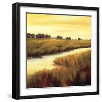 Golden Stream-Tim Howe-Framed Giclee Print