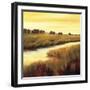 Golden Stream-Tim Howe-Framed Giclee Print