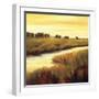 Golden Stream-Tim Howe-Framed Giclee Print