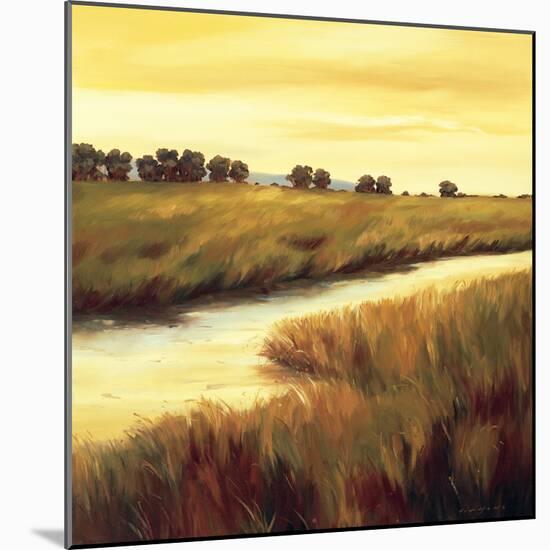 Golden Stream-Tim Howe-Mounted Giclee Print