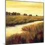 Golden Stream-Tim Howe-Mounted Giclee Print