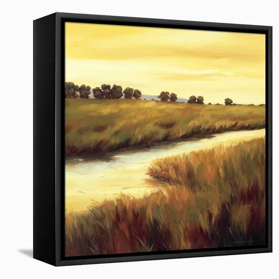 Golden Stream-Tim Howe-Framed Stretched Canvas
