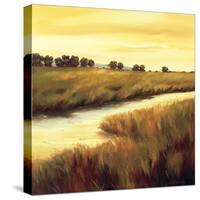 Golden Stream-Tim Howe-Stretched Canvas