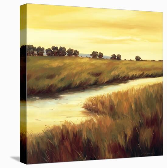 Golden Stream-Tim Howe-Stretched Canvas