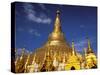 Golden Stupa of Shwedagon Pagoda, Yangon, Myanmar-Inger Hogstrom-Stretched Canvas