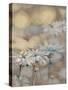 Golden Summer Daisies-Matina Theodosiou-Stretched Canvas