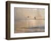 Golden Summer Flight-Matina Theodosiou-Framed Art Print