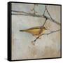 Golden Summer Song-Matina Theodosiou-Framed Stretched Canvas