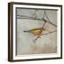 Golden Summer Song-Matina Theodosiou-Framed Premium Giclee Print