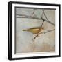 Golden Summer Song-Matina Theodosiou-Framed Premium Giclee Print