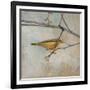 Golden Summer Song-Matina Theodosiou-Framed Premium Giclee Print