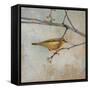 Golden Summer Song-Matina Theodosiou-Framed Stretched Canvas