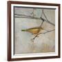 Golden Summer Song-Matina Theodosiou-Framed Art Print