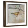 Golden Summer Song-Matina Theodosiou-Framed Art Print