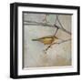 Golden Summer Song-Matina Theodosiou-Framed Art Print