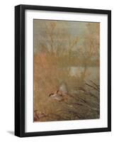 Golden Summer Wings-Matina Theodosiou-Framed Art Print