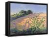 Golden Summer-Robert Tyndall-Framed Stretched Canvas