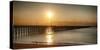 Golden Sunlight over a Wooden Pier, Keansburg, New Jersey-George Oze-Stretched Canvas