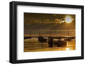 Golden Sunrise Chicago-Steve Gadomski-Framed Photographic Print