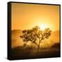 Golden Sunrise-Piet Flour-Framed Stretched Canvas