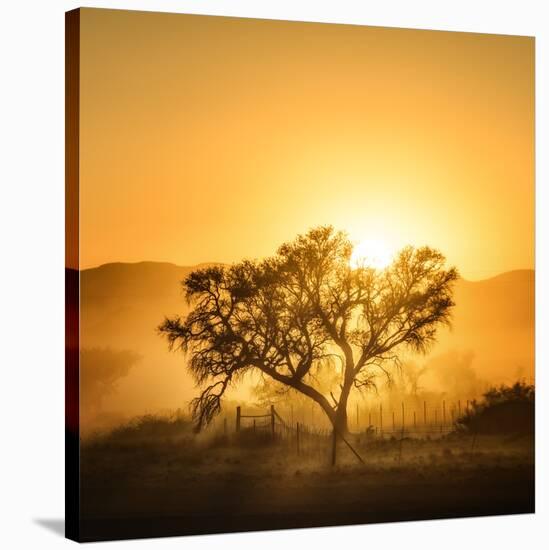 Golden Sunrise-Piet Flour-Stretched Canvas