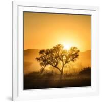 Golden Sunrise-Piet Flour-Framed Photographic Print