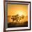 Golden Sunrise-Piet Flour-Framed Photographic Print