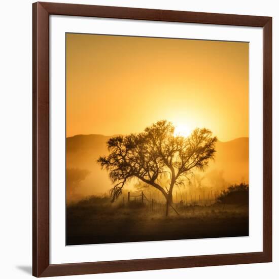 Golden Sunrise-Piet Flour-Framed Photographic Print