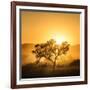 Golden Sunrise-Piet Flour-Framed Photographic Print