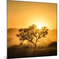 Golden Sunrise-Piet Flour-Mounted Photographic Print