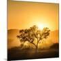 Golden Sunrise-Piet Flour-Mounted Photographic Print