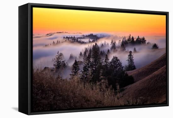 Golden Sunset and Fog Flow Marin Mount Tamalpais San Francisco-Vincent James-Framed Stretched Canvas