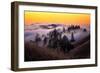 Golden Sunset and Fog Flow Marin Mount Tamalpais San Francisco-Vincent James-Framed Photographic Print