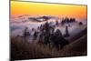 Golden Sunset and Fog Flow Marin Mount Tamalpais San Francisco-Vincent James-Mounted Photographic Print