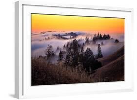 Golden Sunset and Fog Flow Marin Mount Tamalpais San Francisco-Vincent James-Framed Photographic Print