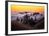 Golden Sunset and Fog Flow Marin Mount Tamalpais San Francisco-Vincent James-Framed Photographic Print