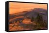 Golden Sunset Burn at Mount Tamalpais, Marin County-Vincent James-Framed Stretched Canvas