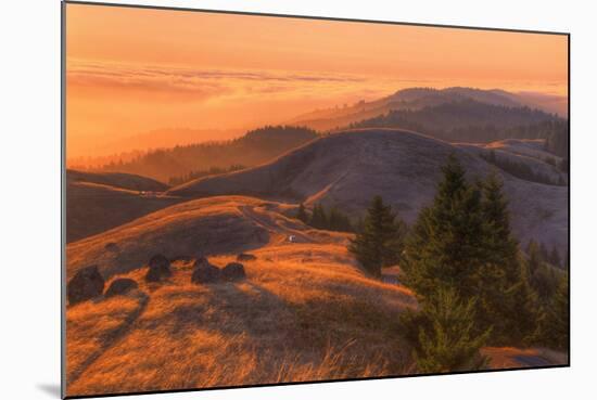 Golden Sunset Burn at Mount Tamalpais, Marin County-Vincent James-Mounted Photographic Print